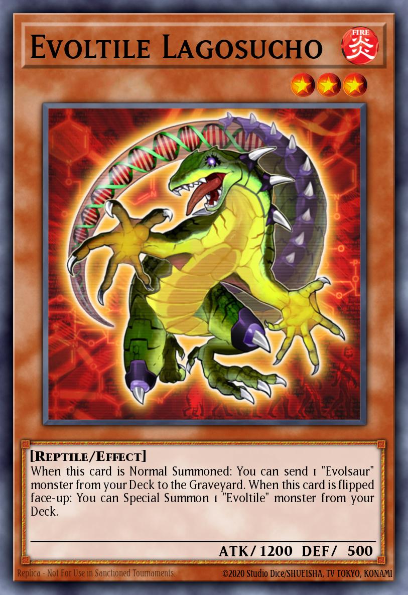 Evoltile Lagosucho