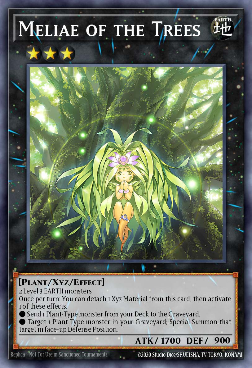 Meliae of the Trees