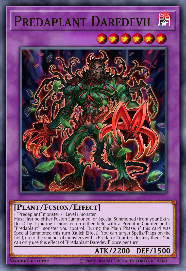 Card_Image