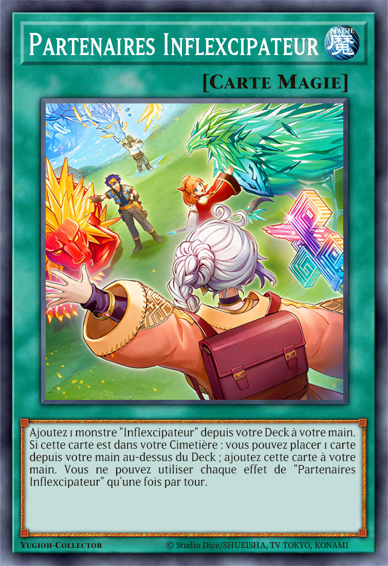 Partenaires Inflexcipateur